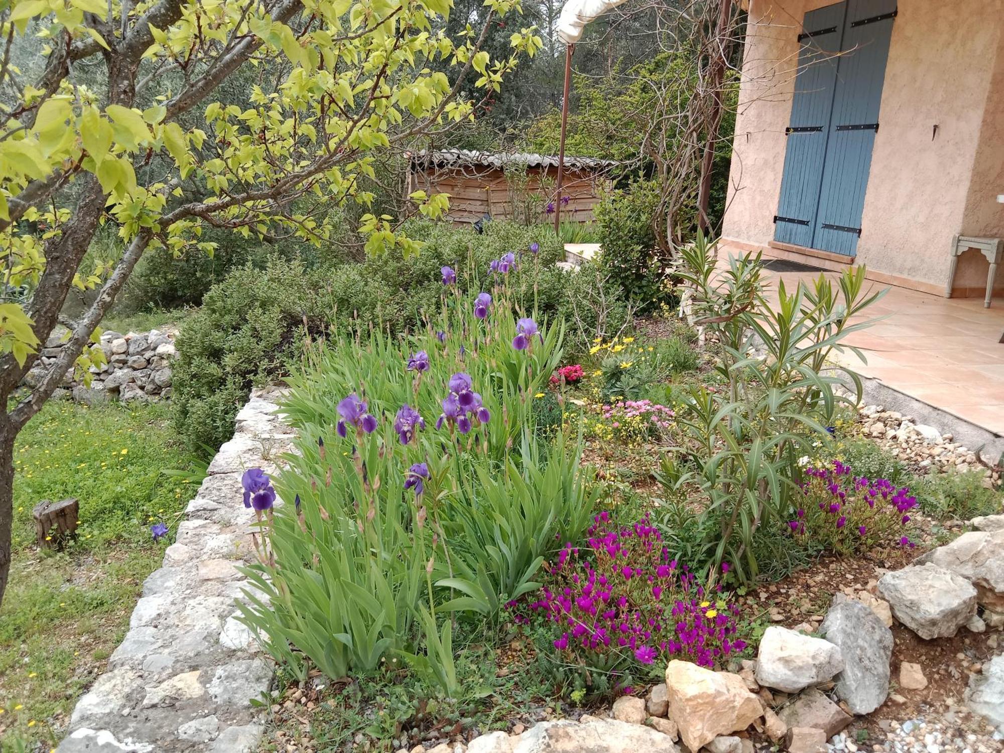 La Farigoulette Bed & Breakfast Lorgues Exterior photo